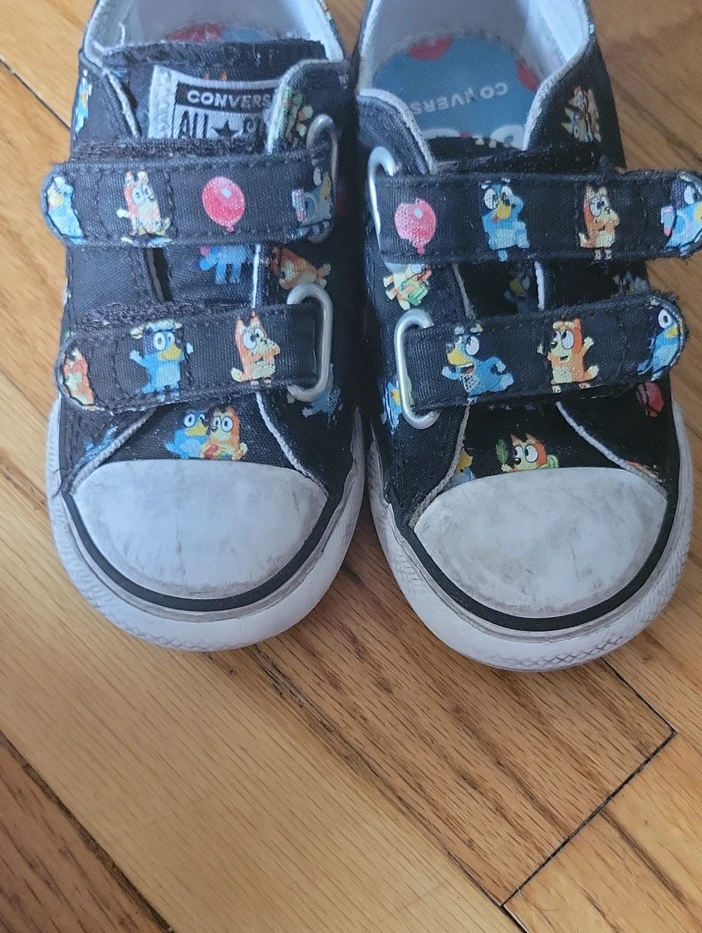 Converse bluey sneakers
